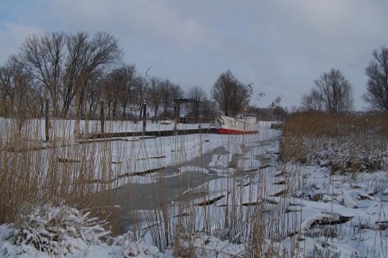 Klünder im winterlichen Hafen