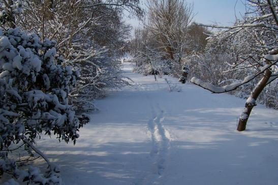 Unser Gartenland im Winterkleid