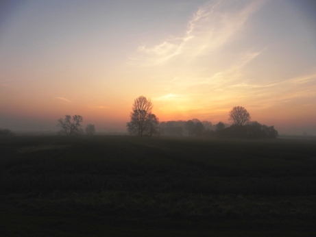 Blick über´n Deich in die Morgensonne