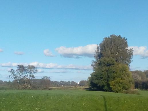 Blick aus dem Fenster