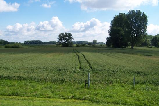 Blick über´n Deich