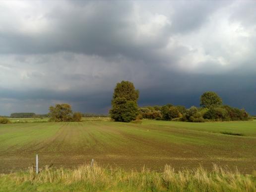 Dunkle Wolken ziehen übers Feld