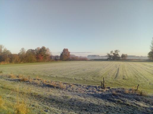 Der Winter hat Einzug gehalten