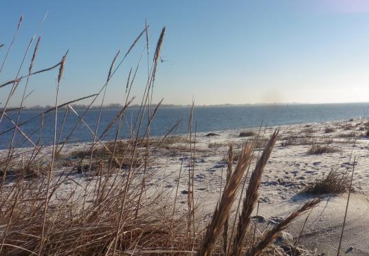 Winterlicher Strand